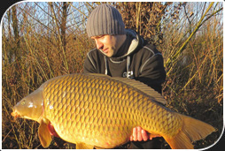 team_jeroen_helfferich